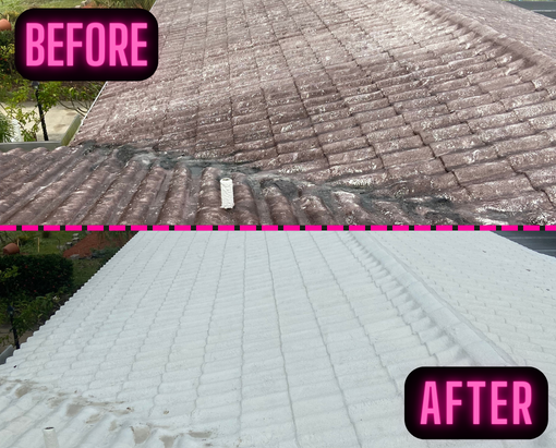 Roof wash before after 2b Roof wash before after